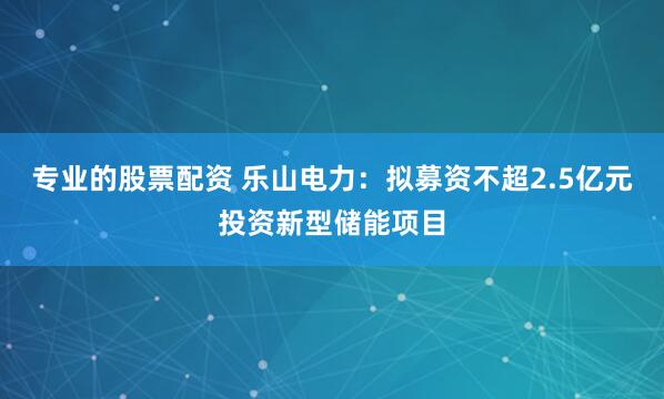 专业的股票配资 乐山电力：拟募资不超2.5亿元投资新型储能项目