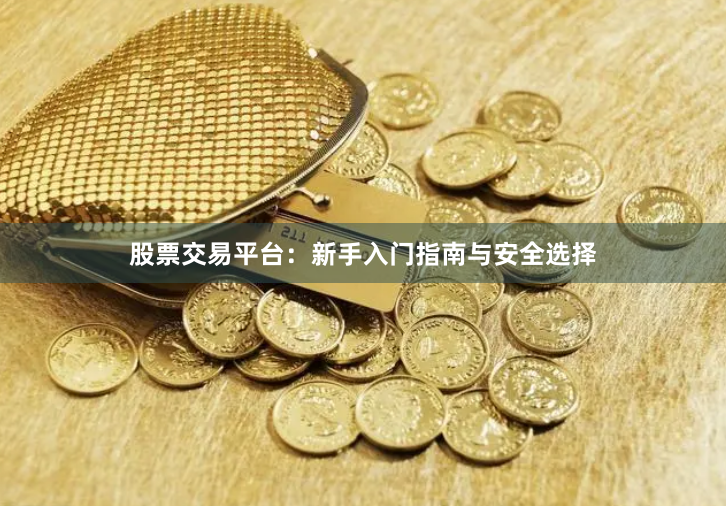 股票交易平台：新手入门指南与安全选择